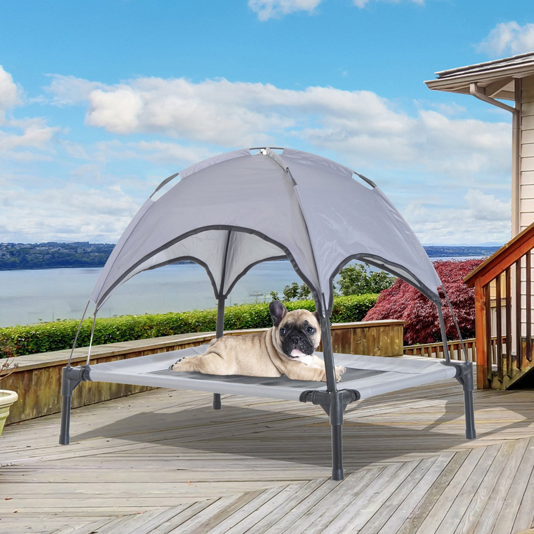 Elevated Pet Bed With Canopy