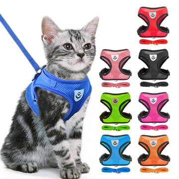 Harness Vest