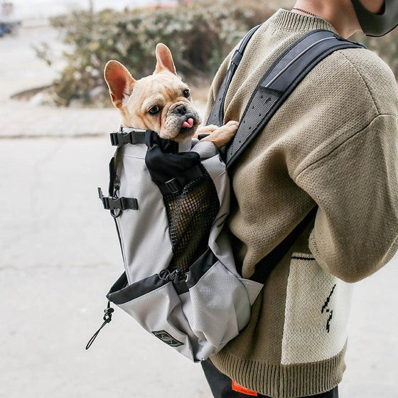 Double Shoulder Dog Backpack