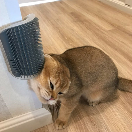 Innovative Cat Wall Groomer