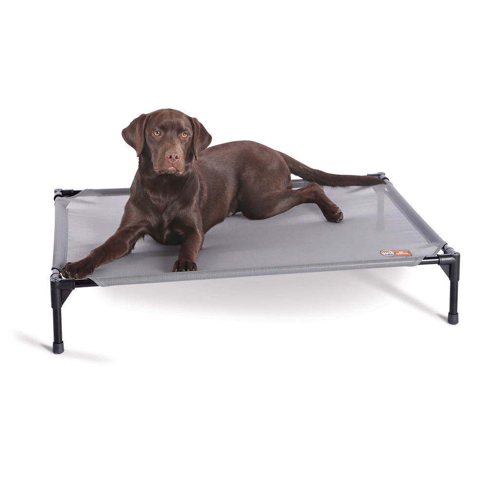 Season All Weather Dog Cot