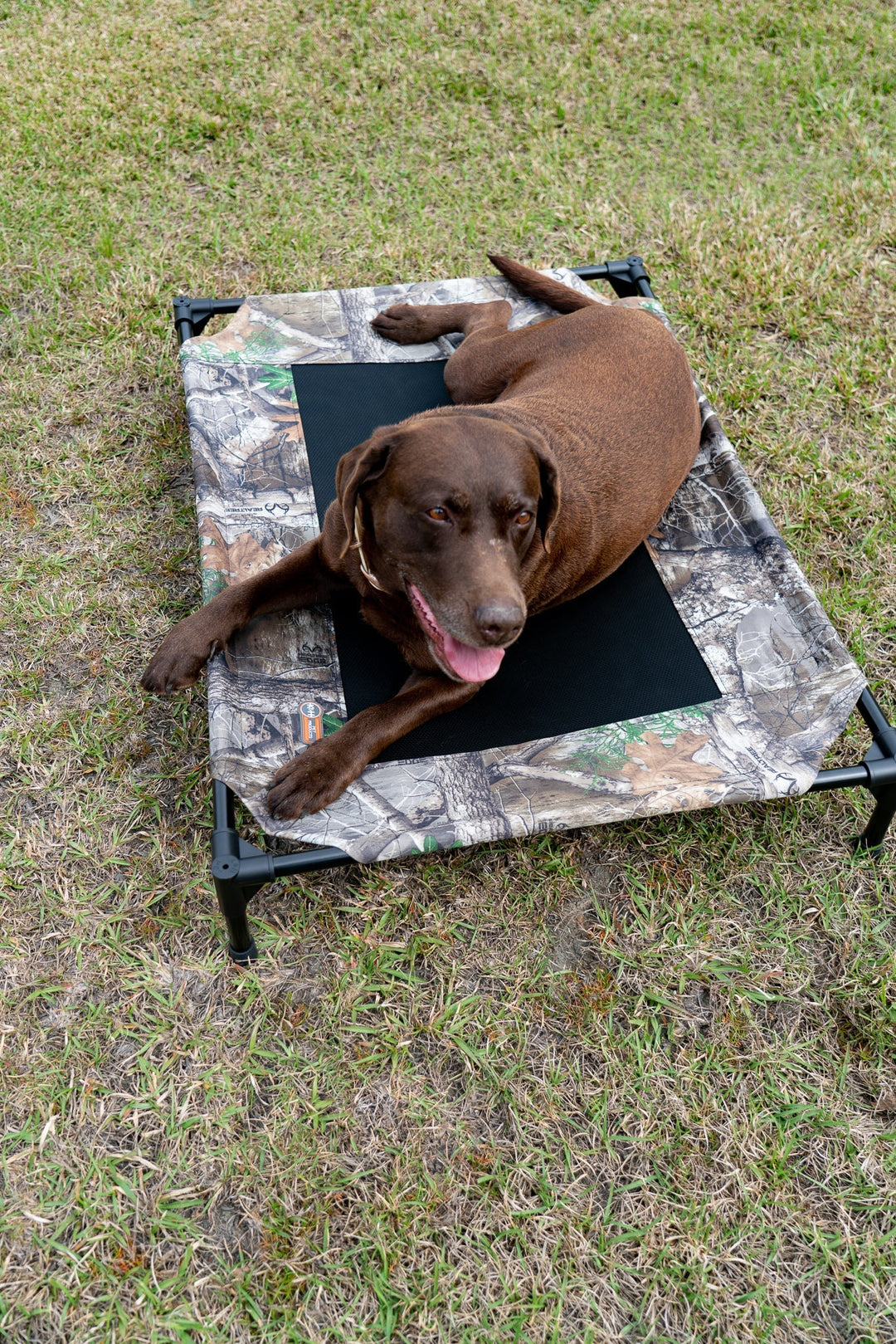 Original Pet Cot