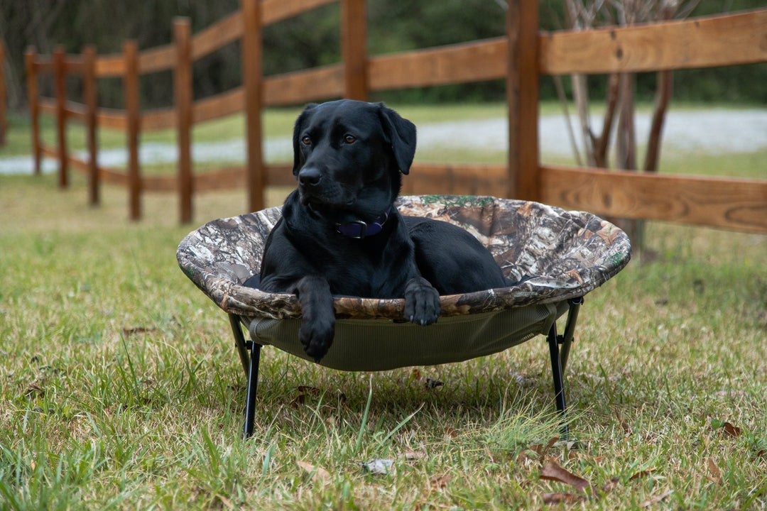 Elevated Cozy Cot Pet Bed