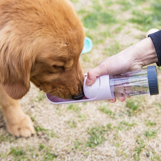 Portable Pet Water Bottle