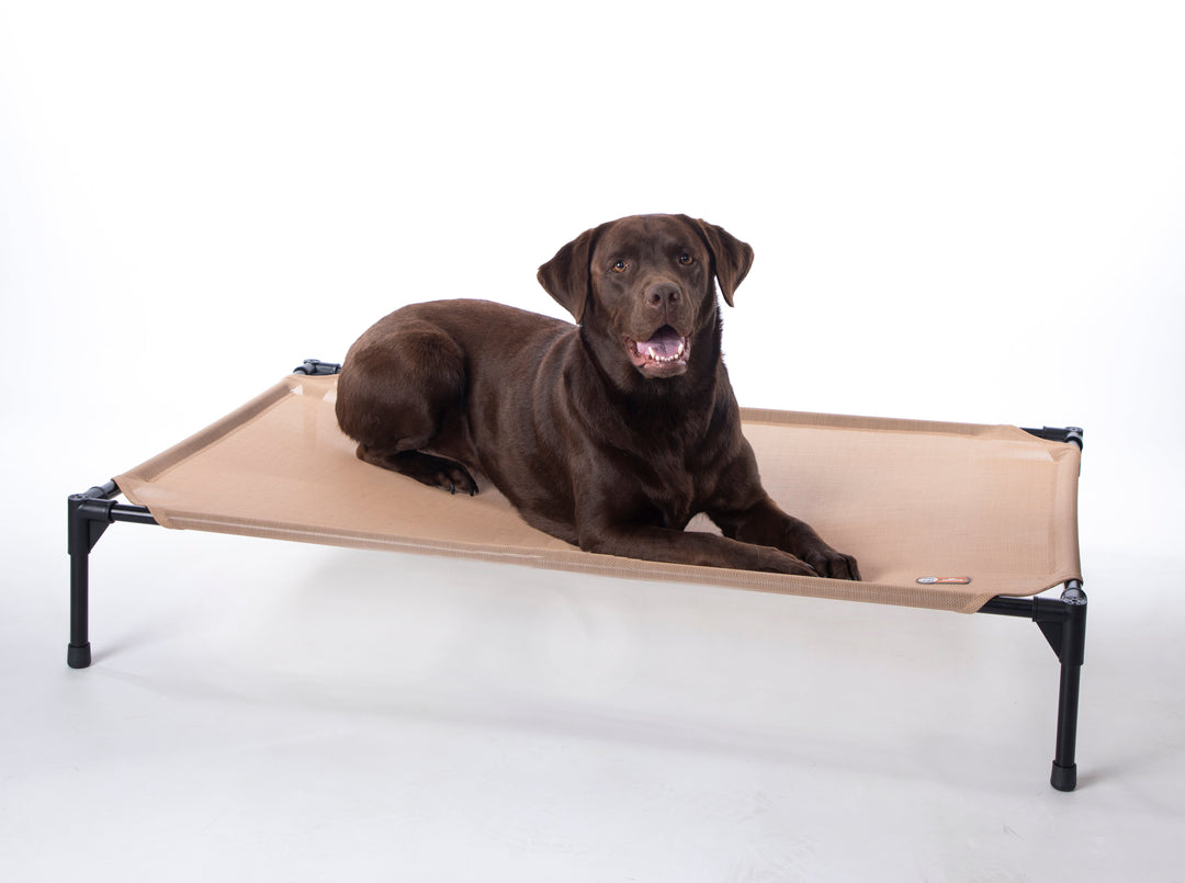 Season All Weather Dog Cot