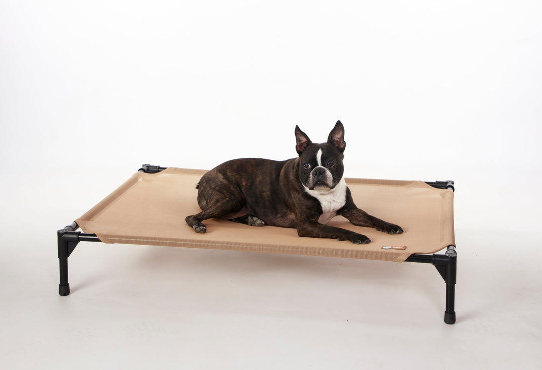 Season All Weather Dog Cot