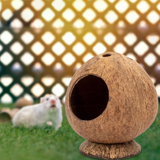 Natural Coconut Shell Hiding Cage