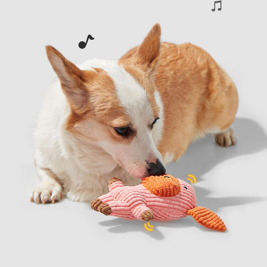 Dogs Squeaky Chew Toy