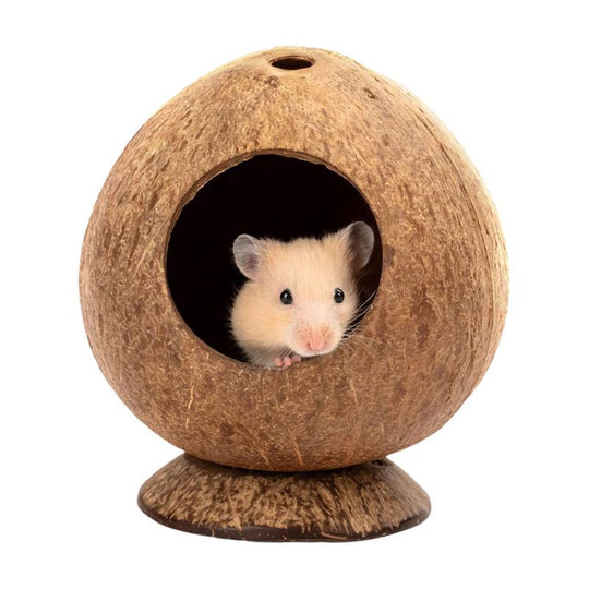 Natural Coconut Shell Hiding Cage