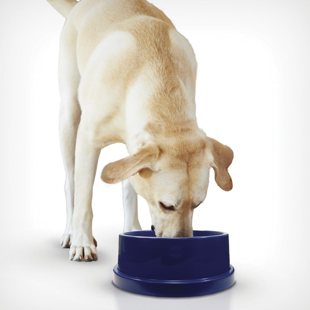 Cooling Water Bowl for Pets