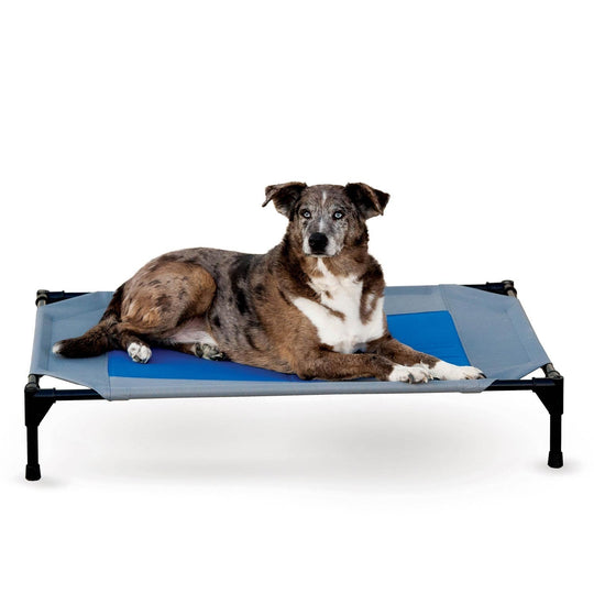 Elevated Cooling Dog Cot