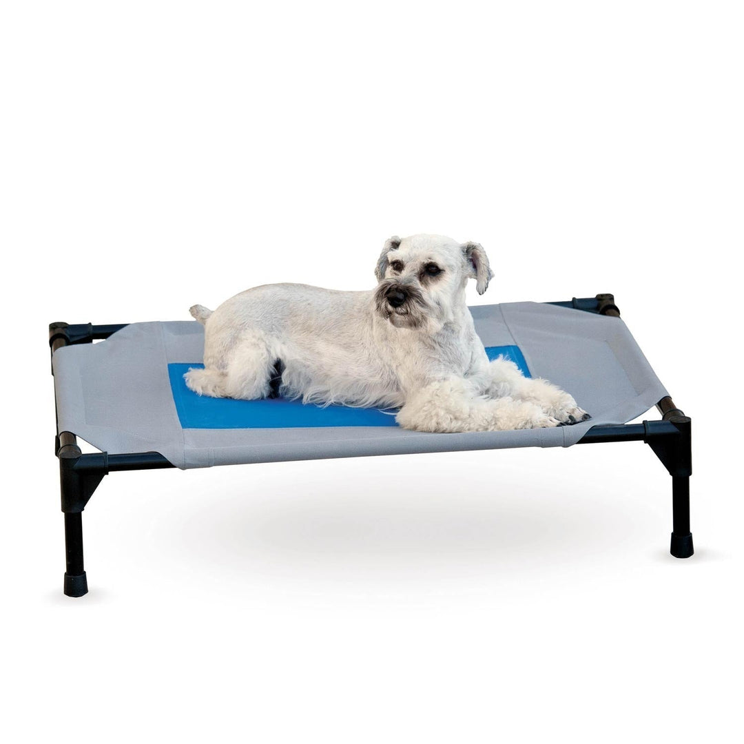 Elevated Cooling Dog Cot