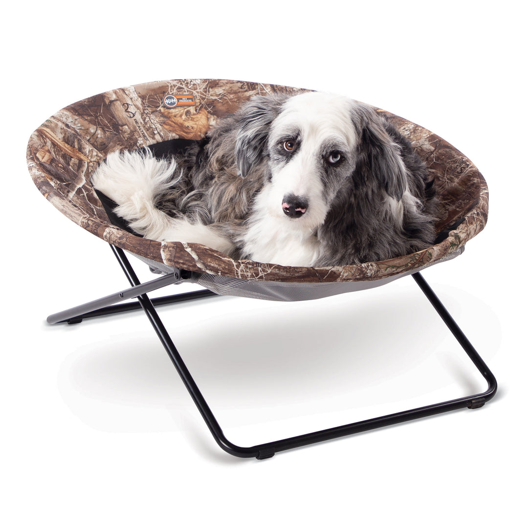 Elevated Cozy Cot Pet Bed