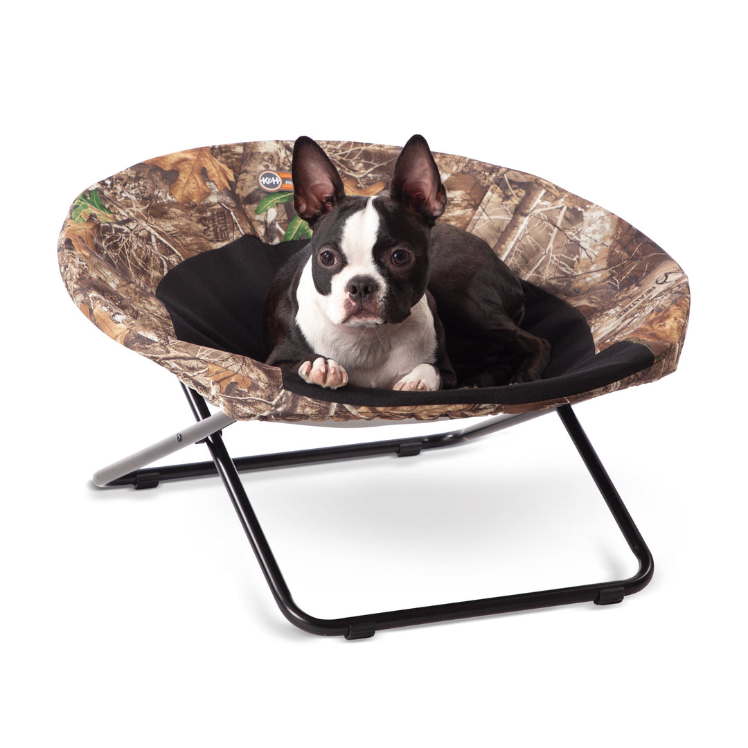 Elevated Cozy Cot Pet Bed